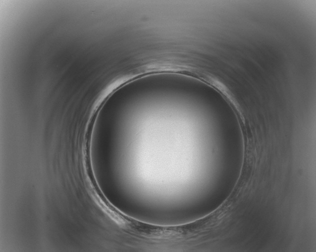 X0000081451187200701191706