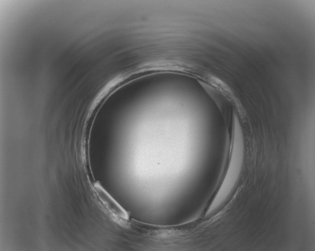 X0000081451188200701191706