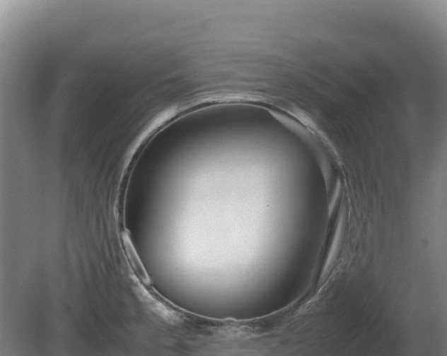 X0000081451189200701191706