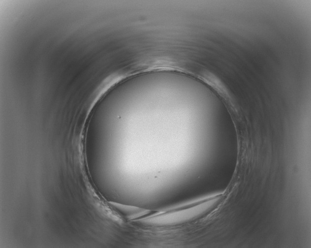 X0000081451190200701191706