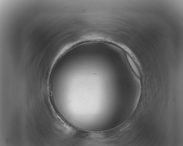 X0000081451191200701191706