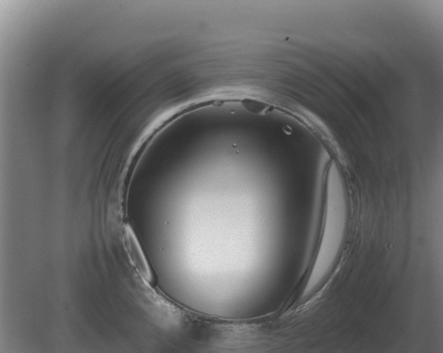 X0000081451192200701191706