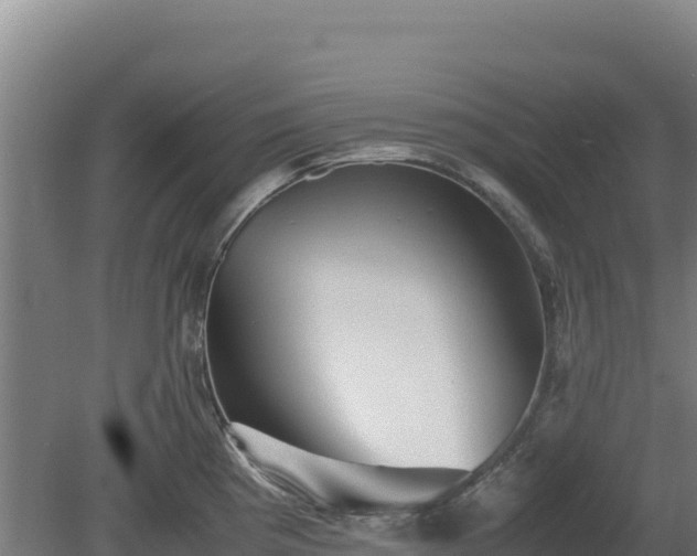 X0000081451193200701191706