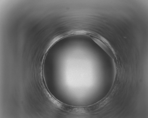 X0000081451194200701191706