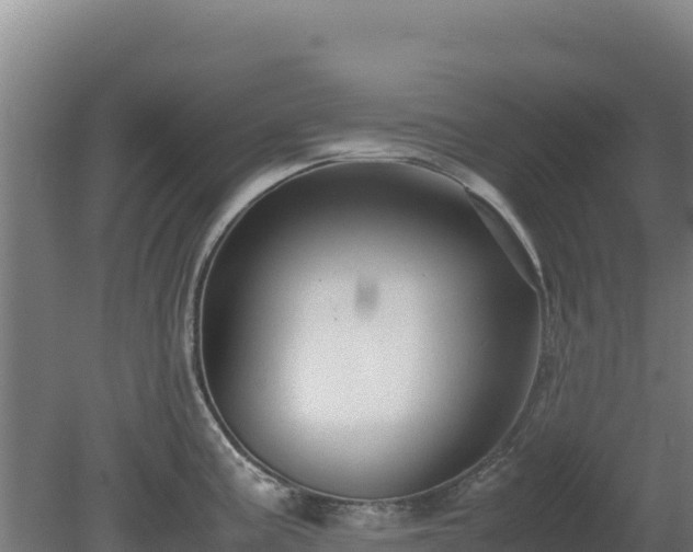 X0000081451195200701191706