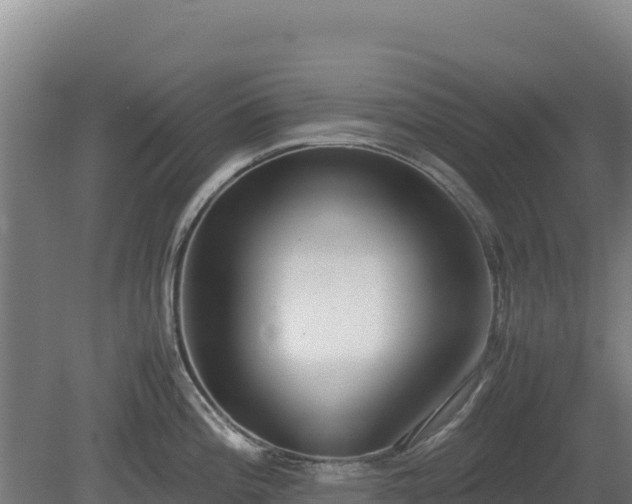 X0000081451196200701191706