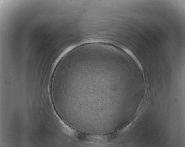 X0000081451197200701191706