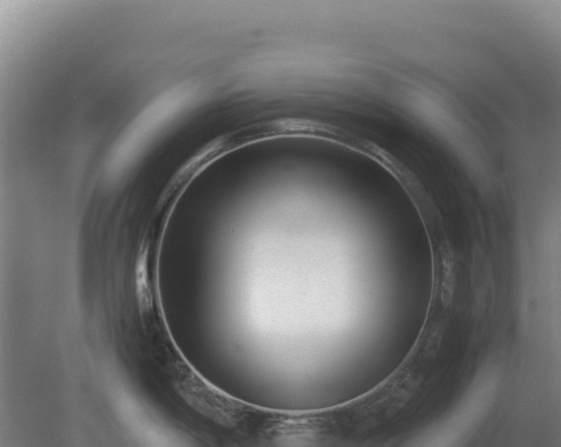 X0000081451198200701191706