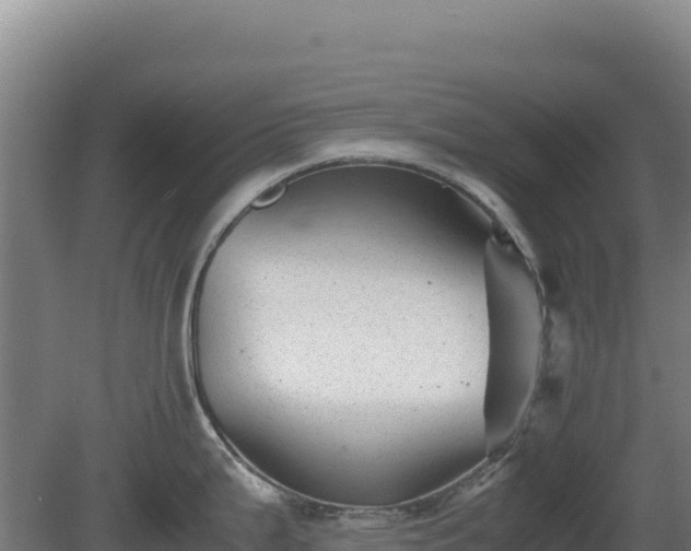 X0000081451199200701191706