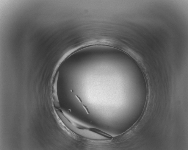 X0000081451200200701191706