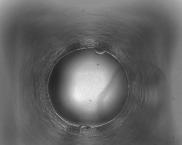 X0000081451201200701191705