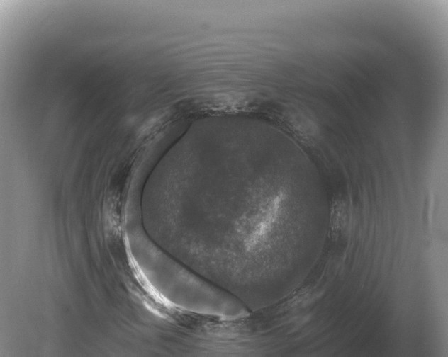 X0000081451202200701191705