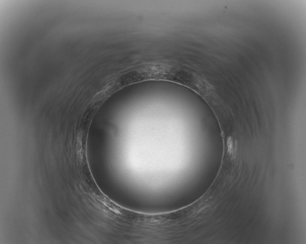 X0000081451203200701191705