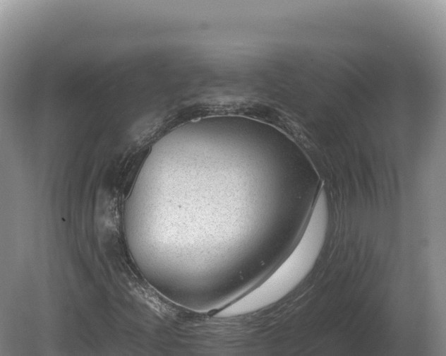 X0000081451204200701191705