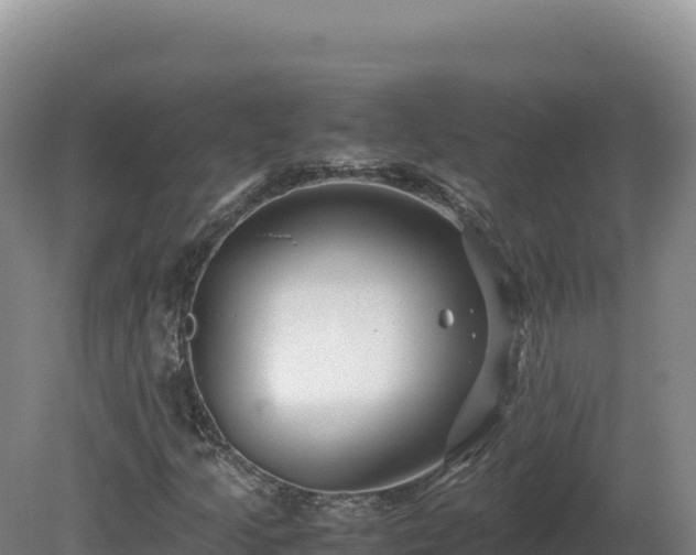 X0000081451205200701191705