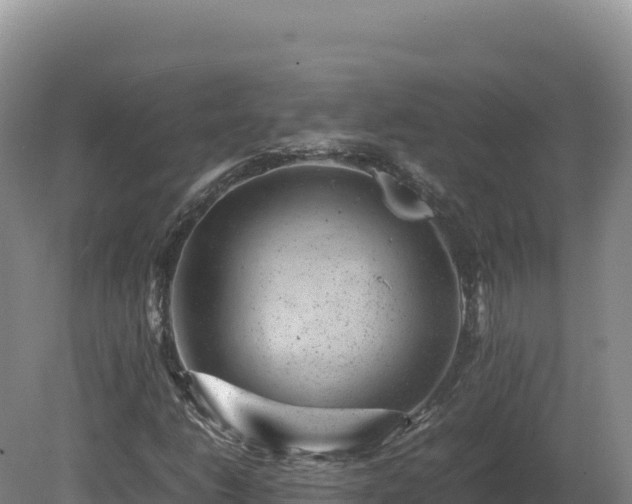 X0000081451206200701191705