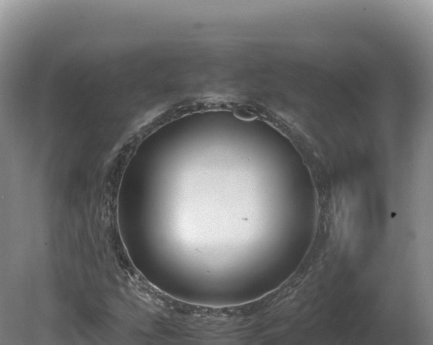 X0000081451207200701191705