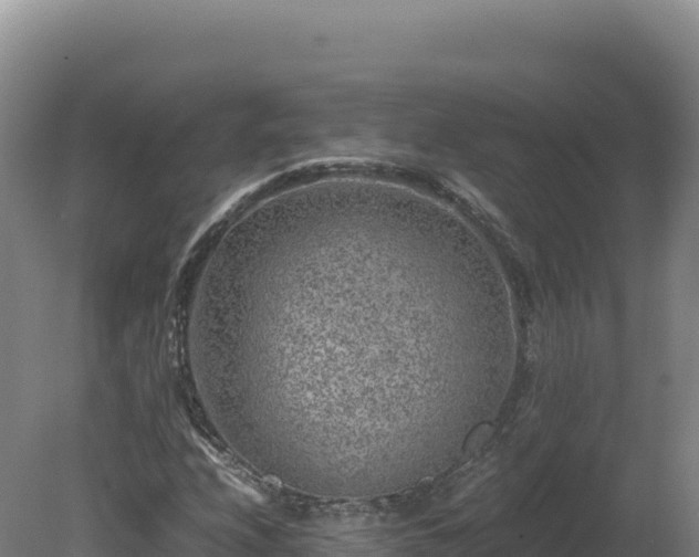 X0000081451208200701191705