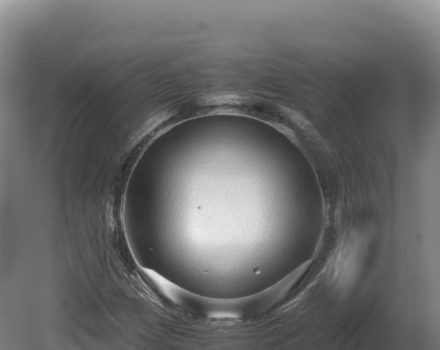 X0000081451209200701191705