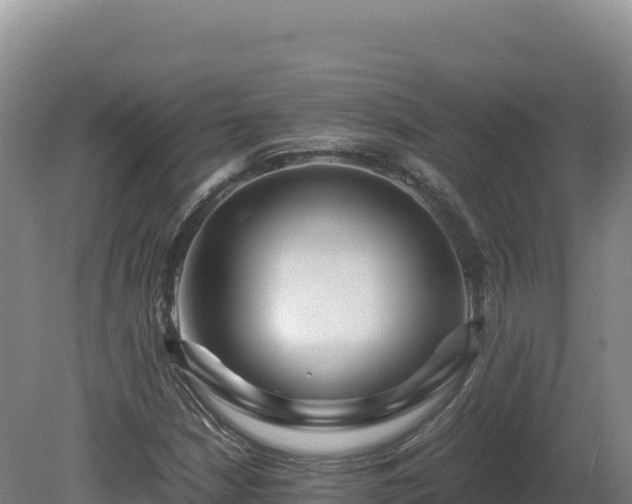 X0000081451210200701191705