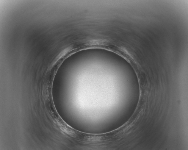 X0000081451211200701191705