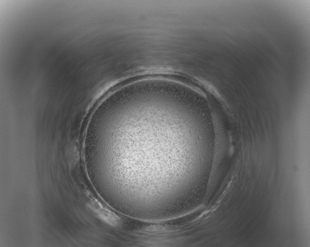 X0000081451212200701191705