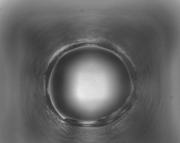 X0000081451214200701191705