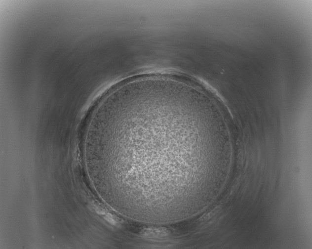 X0000081451215200701191705