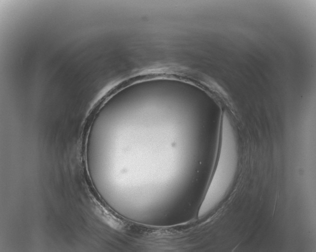 X0000081451216200701191705