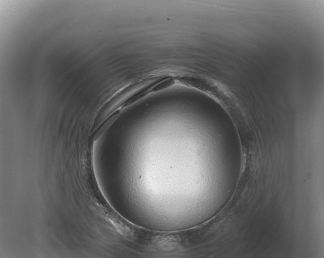 X0000081451217200701191705