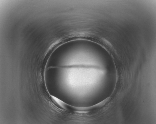 X0000081451218200701191705