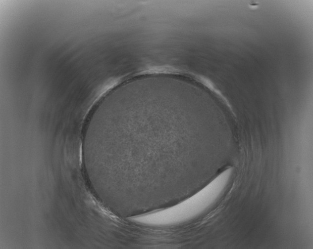 X0000081451221200701191705