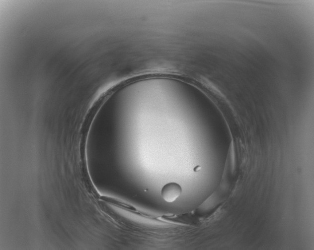 X0000081451222200701191705