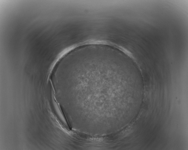 X0000081451223200701191705