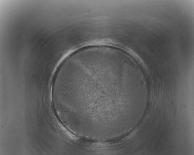 X0000081451224200701191705