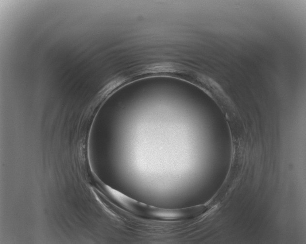 X0000081451225200701191705