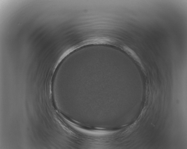 X0000081451226200701191705