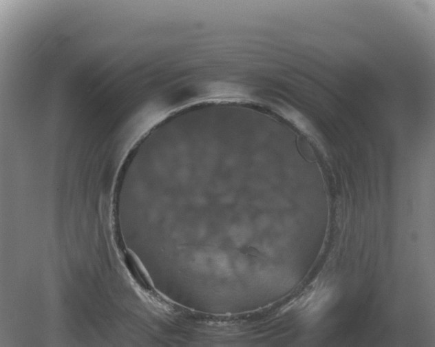 X0000081451229200701191705