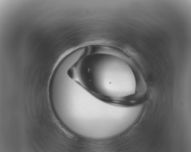 X0000081451230200701191705