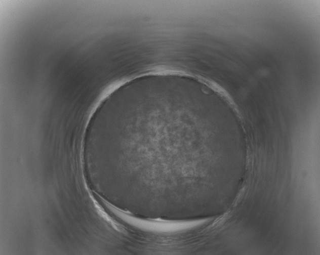 X0000081451231200701191705