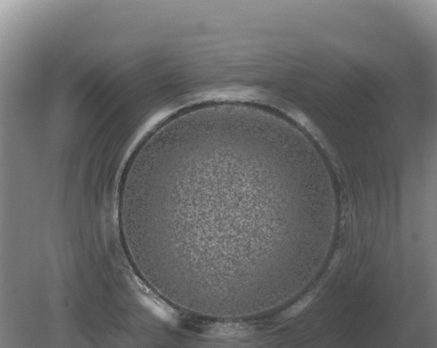 X0000081451232200701191705