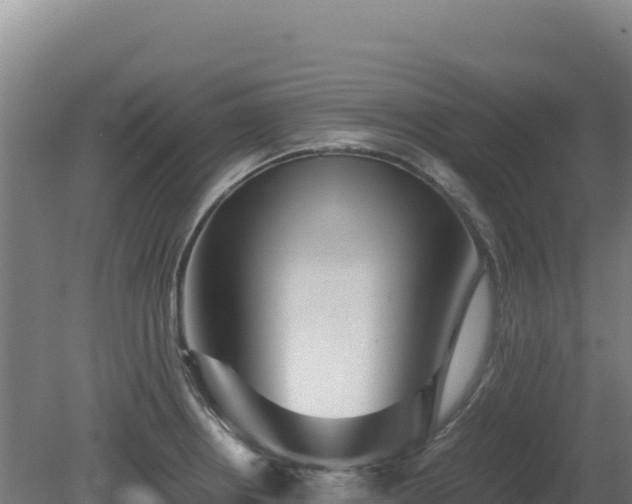 X0000081451234200701191705