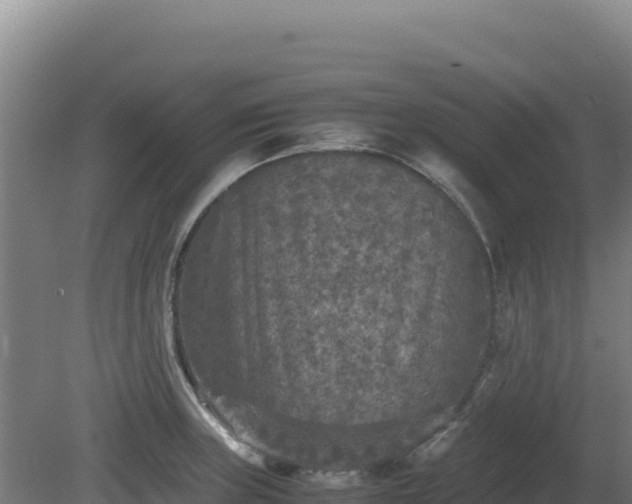 X0000081451235200701191705