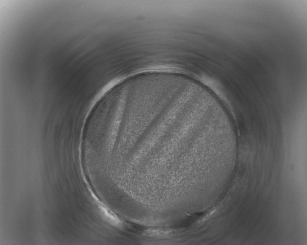 X0000081451237200701191705