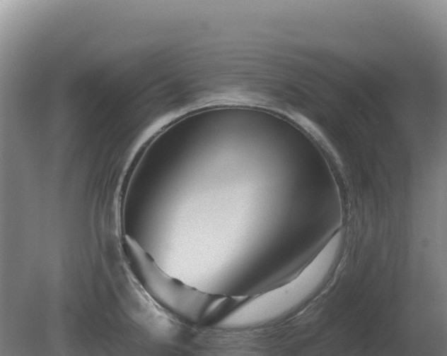 X0000081451238200701191705