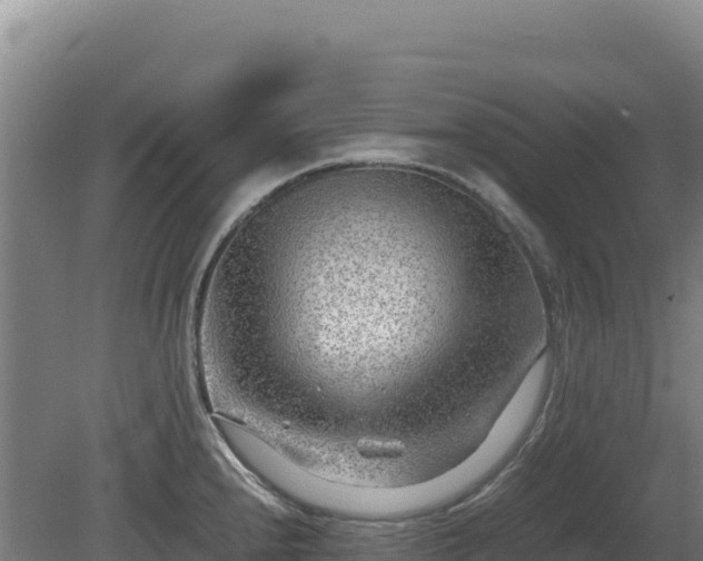 X0000081451240200701191705