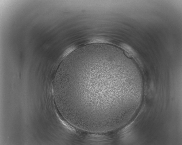 X0000081451241200701191705