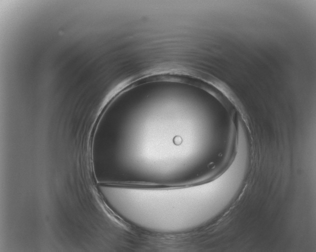 X0000081451242200701191705