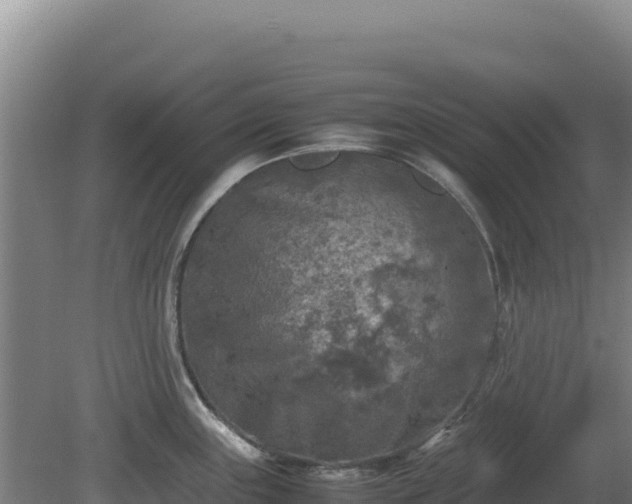 X0000081451243200701191705