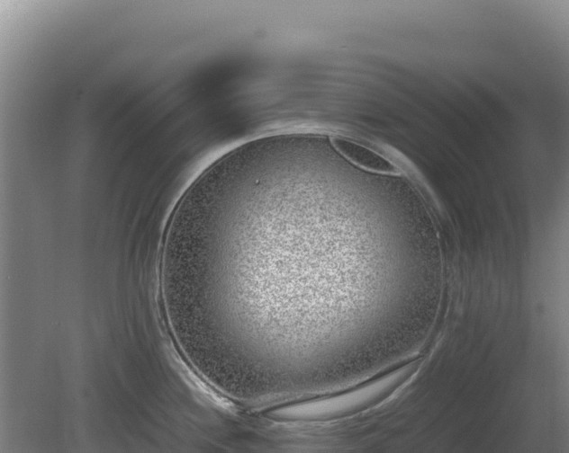 X0000081451244200701191705